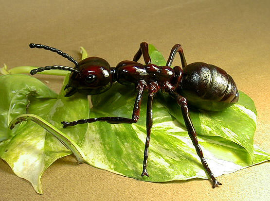 Hormigas