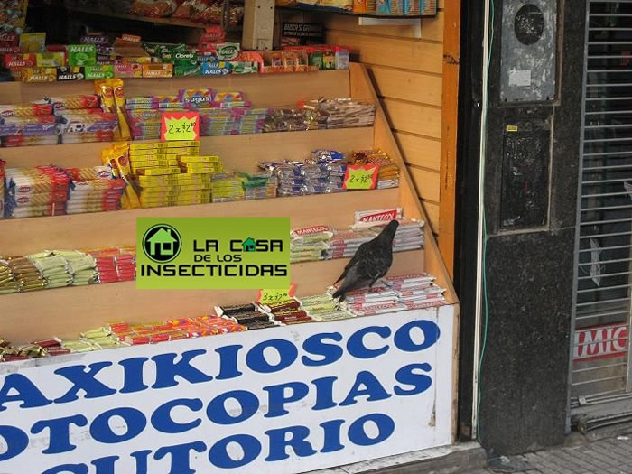 Nueva tecnología para el control de palomas
